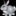 🐇